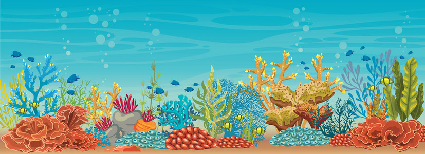 水下的珊瑚和鱼