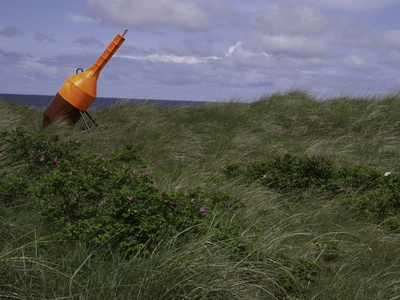 Wangerooge 岛