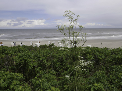 Wangerooge 岛