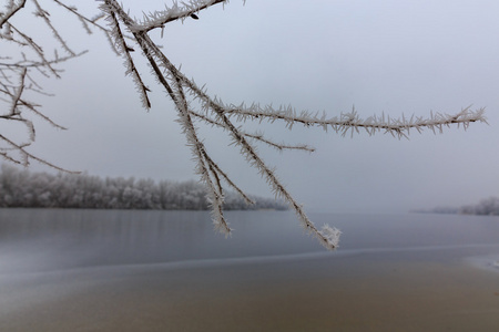 树枝上有雪。湖面上的冰