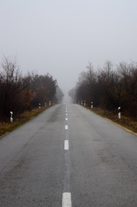 雾的道路上图片