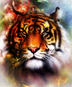 老虎的拼贴在色彩抽象背景和 ornamet，野生动物与曼陀罗