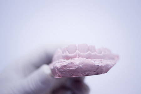 牙模牙医粘土牙齿陶瓷板投
