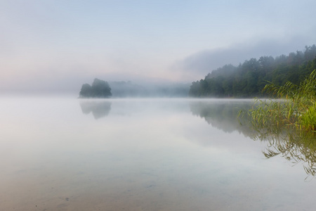 早上有雾的湖泊