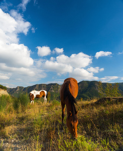 马山区的背景。Georgi