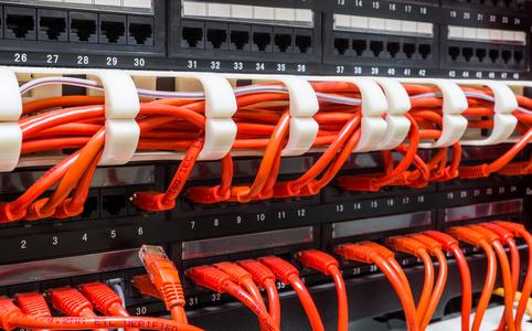 红色的网络电缆连接到交换机的特写