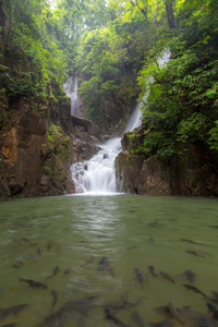 热带瀑布在 Phlio 国家公园