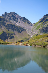 在瑞士的阿尔卑斯山徒步旅行