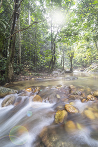 在热带森林中的水流