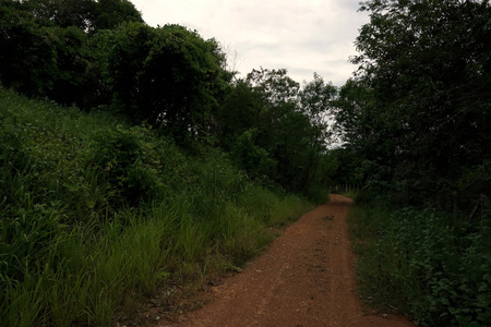 乡村道路摘要