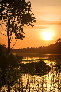 亚马逊河雨林黄昏时分，秘鲁，南美洲