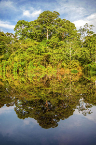 亚马逊雨林中的河流，秘鲁，南美洲