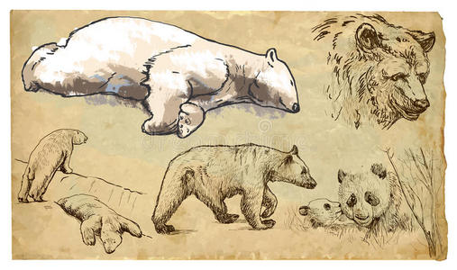 动物，主题熊手绘矢量包