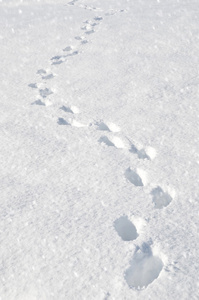 脚步声在雪地里山