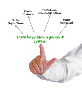 数据库管理系统图