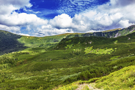 在喀尔巴阡夏日风景