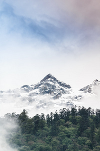 雪山与雾，Lachen 北锡金印度