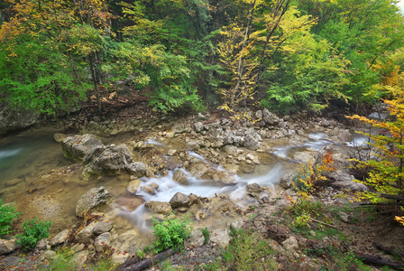 秋季景观。自然的组成。进入峡谷河