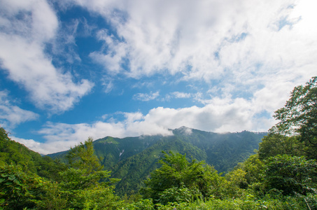 山云夏天, 日本