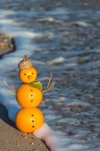 橘子做成的雪人