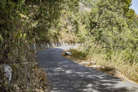 森林中有标记的道路