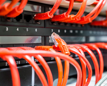 红色的网络电缆连接到交换机的特写