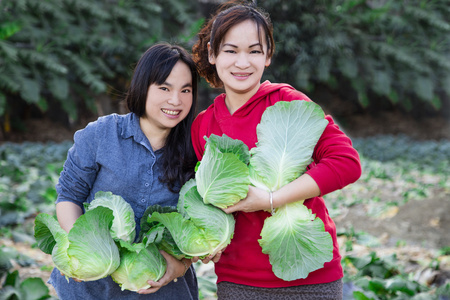 妇女和绿色卷心菜