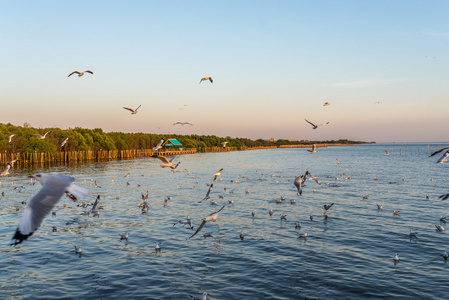 samut prakan, 泰国