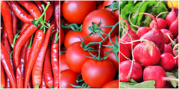 健康有机红色和粉色的蔬菜   红辣椒 西红柿 萝卜的拼贴画