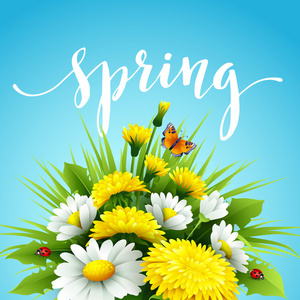 新鲜的春背景与草 蒲公英和雏菊。矢量图