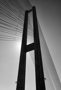 现代单色桥梁塔架