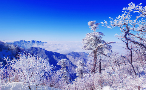 在冬季的景观，在韩国的德裕山