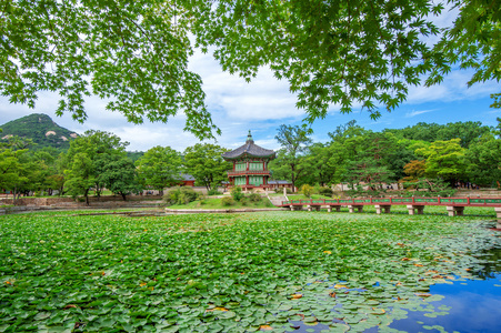 在春天，韩国景福宫