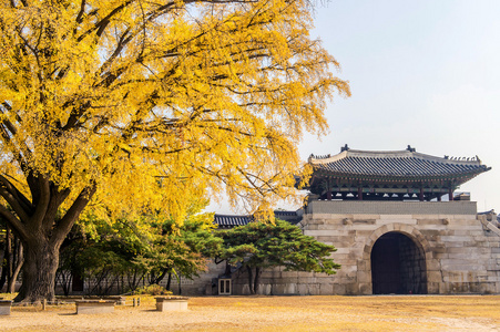 Gyeongbukgung 宫，韩国的秋天里