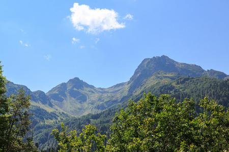 高加索山脉，高山草甸