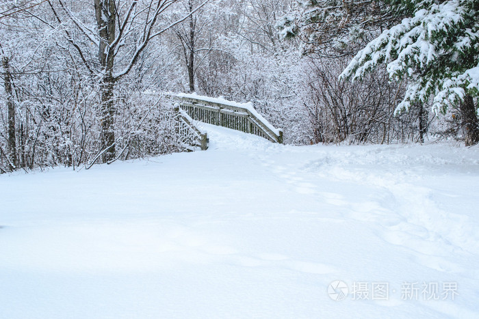 冬季的背景雪