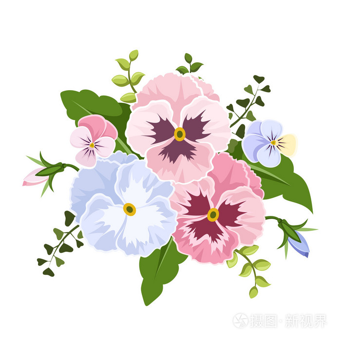 粉色和蓝色的三色堇花.矢量图插画-正版商用图片1l9