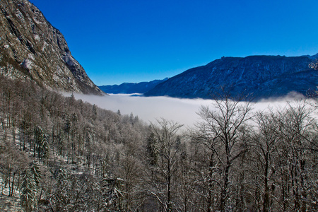 阿尔卑斯山风景的雾