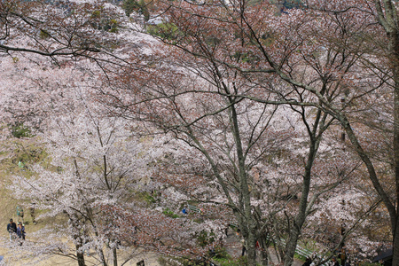 吉野水分神社，Yoshinoyama，奈良