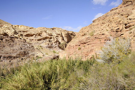 沙漠风景 Jordan