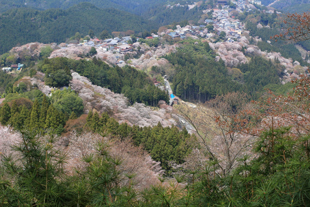 吉野水分神社，Yoshinoyama，奈良，日本