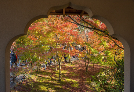 秋叶在 Eikando 寺