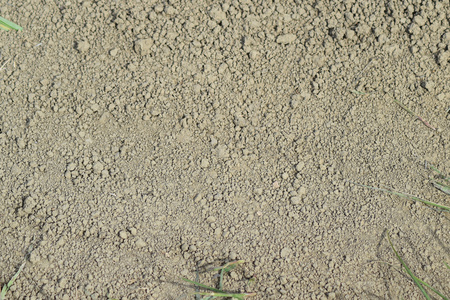 来自干燥地球的背景。 土路上的土壤。