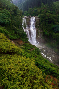 瀑布在斯里兰卡湖 Ramboda