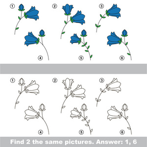 视觉的游戏。找到隐藏的夫妇的风铃草