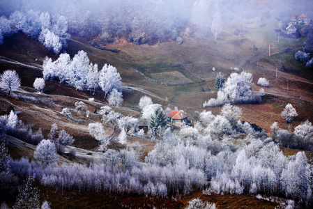 在罗马尼亚冬季景观
