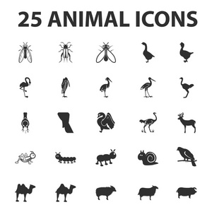 动物和野兽 25 黑色简单的图标设置为 web