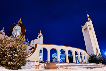 新年树在冷冻晚上与圣彼得大教堂