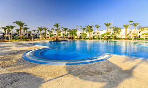 游泳在埃及游泳池和棕榈树的美丽
