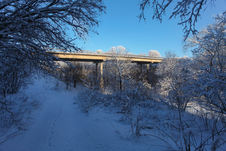 冬季雪，这座桥的森林